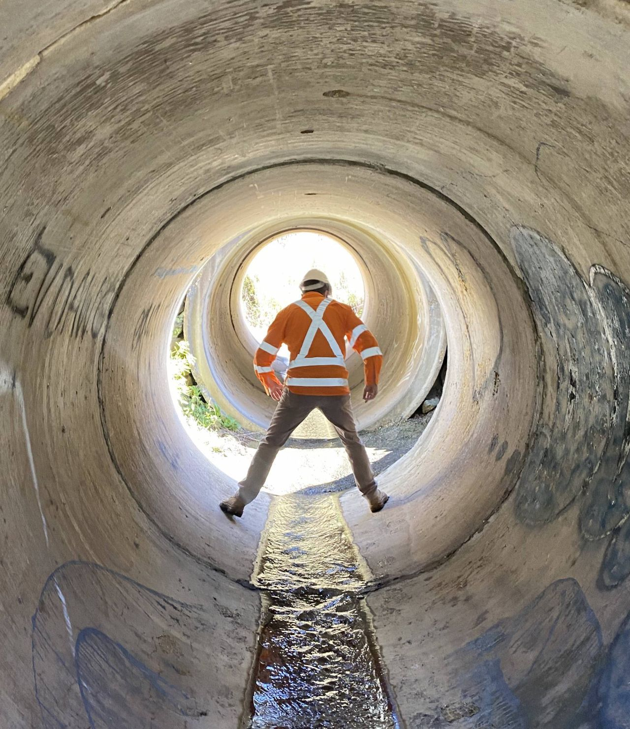 compliance-council-image